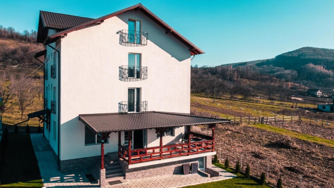 Отель Casa Dumitru Cerasu Экстерьер фото