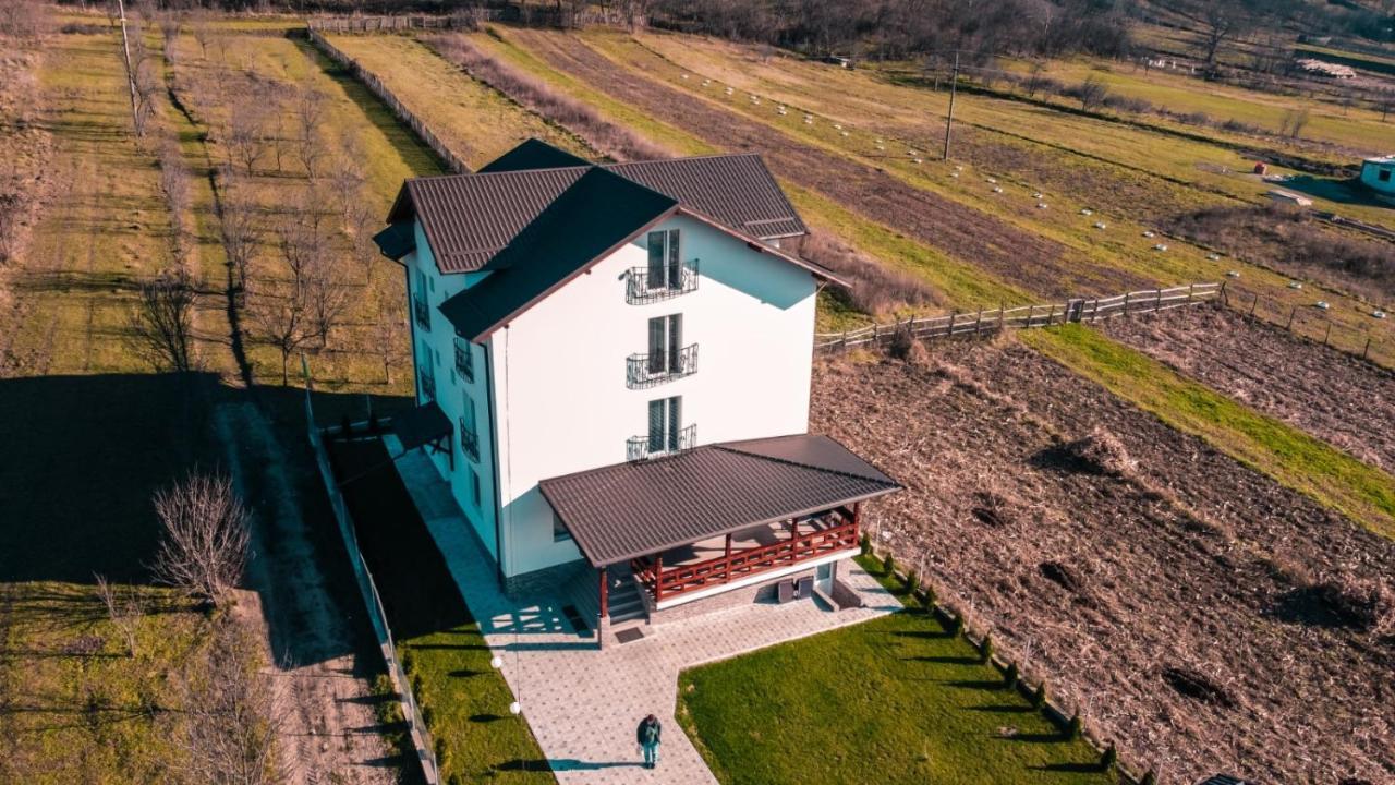 Отель Casa Dumitru Cerasu Экстерьер фото