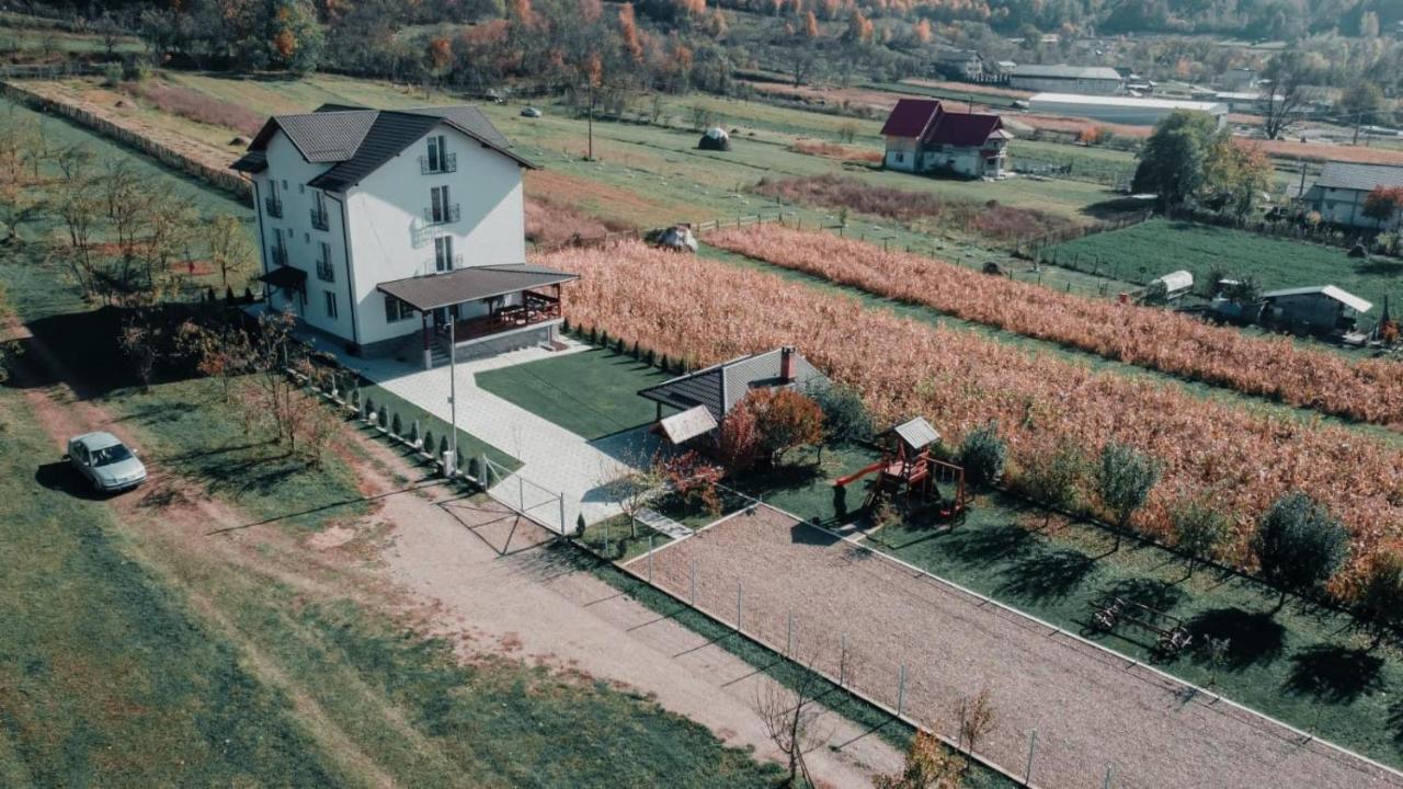 Отель Casa Dumitru Cerasu Экстерьер фото
